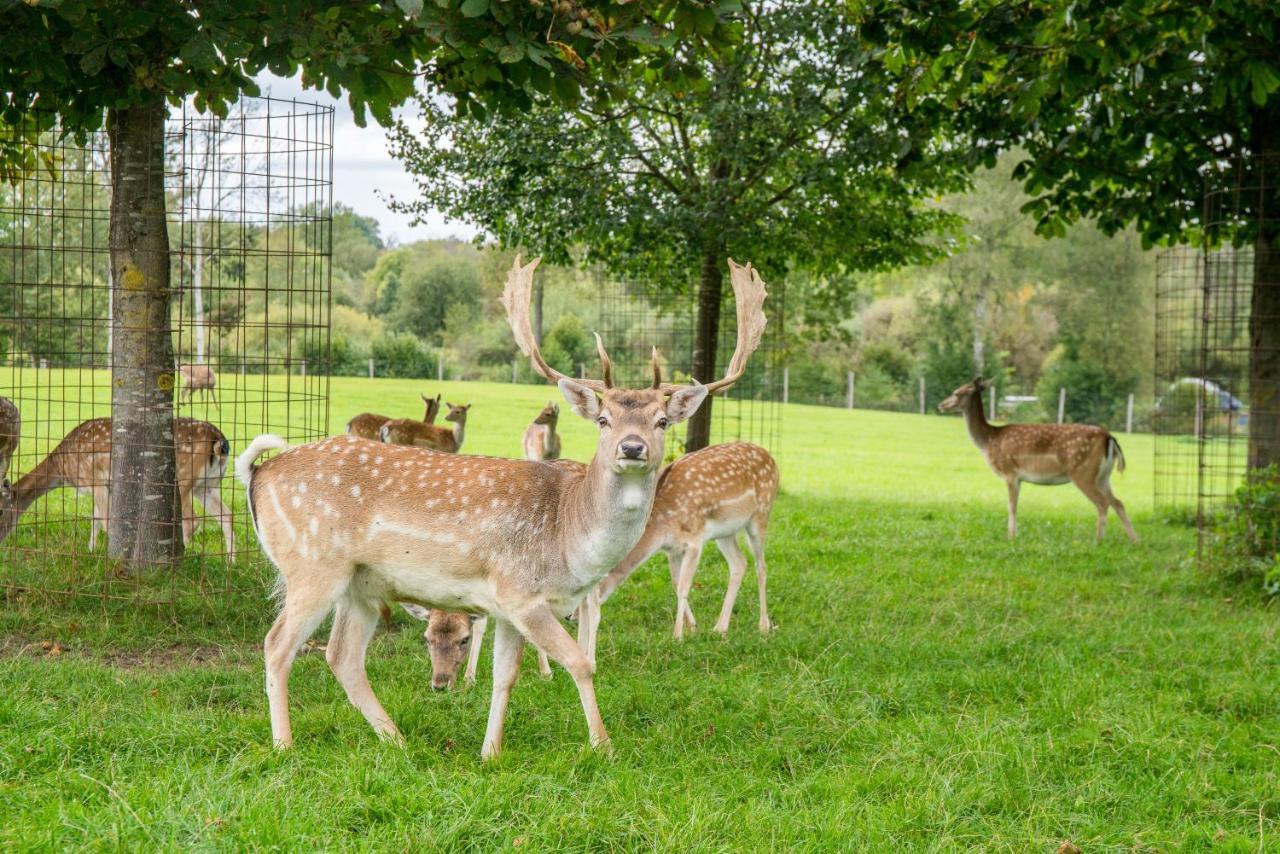 Hotel Hofgut Tiergarten Аулендорф Екстер'єр фото